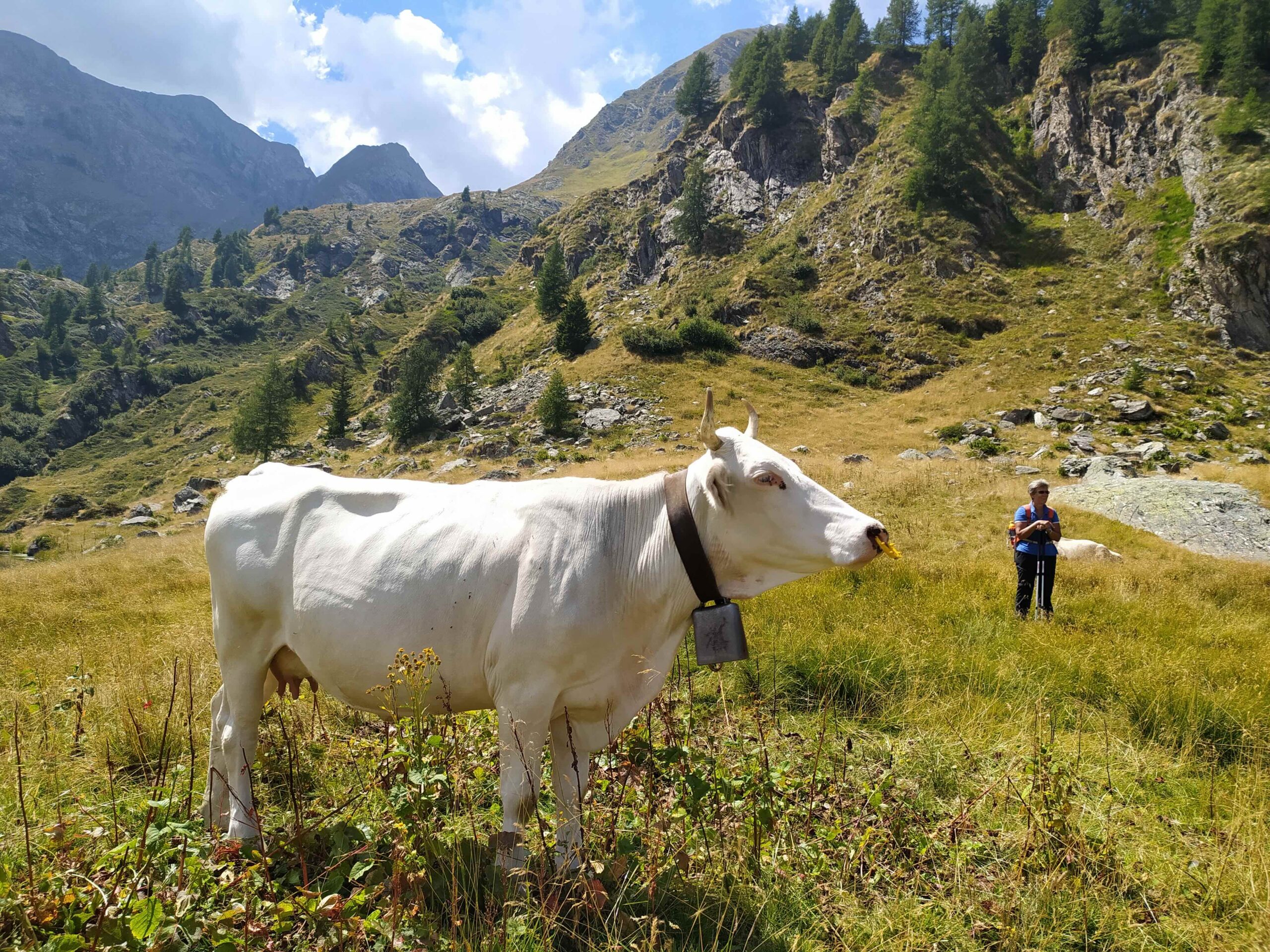 I Calécc delle Valli del Bitto